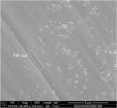 A discovery of nanoscale sulfide droplets in MORB glasses: implications for the immiscibility of sulfide and silicate melts